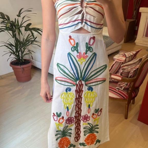 FARM Rio Colorful Embroidered Maxi Dress - Picture 6 of 11